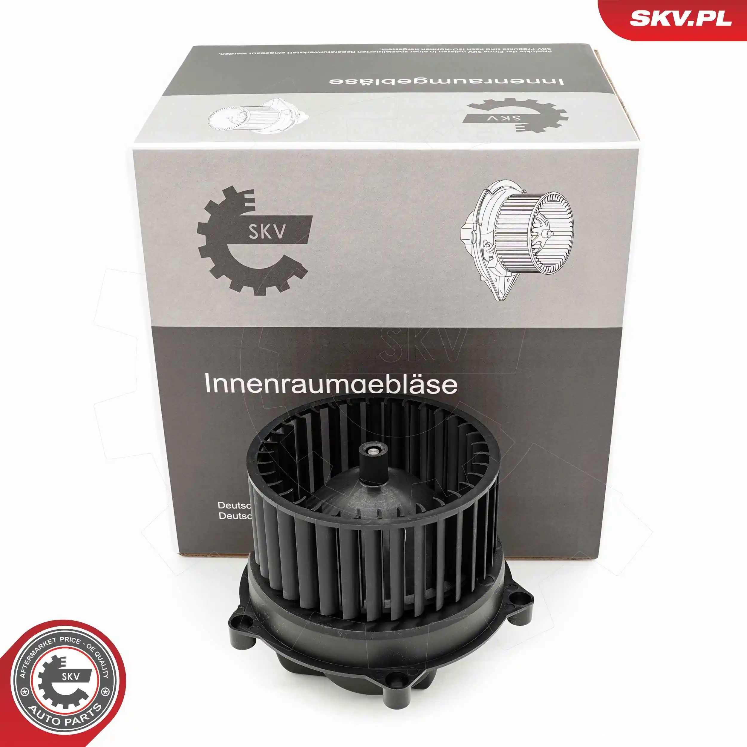 Interior Blower